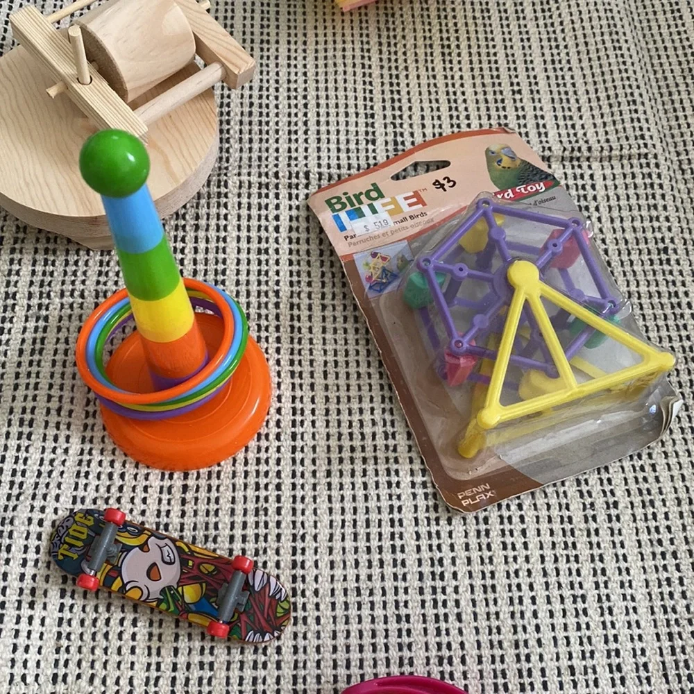 bird toys